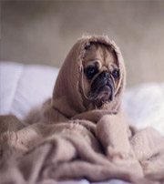 宜宾有这样的手机号码，留不住钱，你中枪了吗？