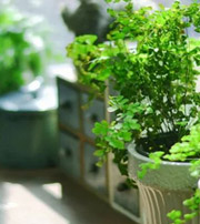 宜宾专属于你的开运指南，助你鸿运当头福满身！