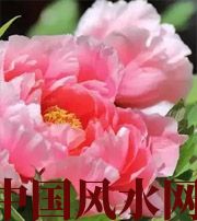 宜宾预示你财运上升，姻缘可成的梦境，快来看看吧！