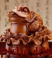 宜宾解读金蟾最合适的位置，这样摆放更招财！