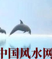 宜宾做梦梦到这些，是要富裕的征兆！