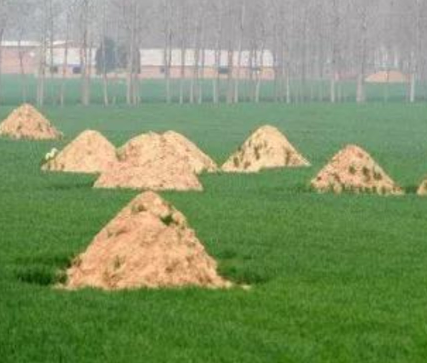 宜宾阴宅风水：形峦三十六绝